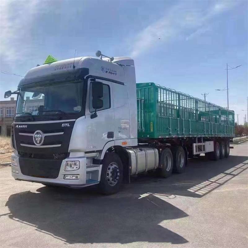 孝昌县淄博物流：多元专线与高效运输服务探秘