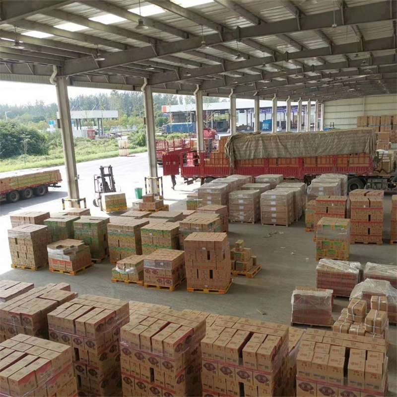 孝昌县滁州物流：多样运输服务与线路探秘