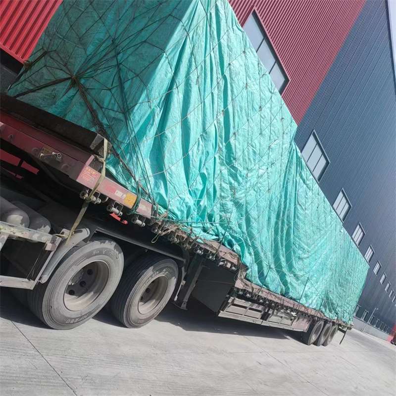 孝昌县肃南县：物流专线的高效货运之旅