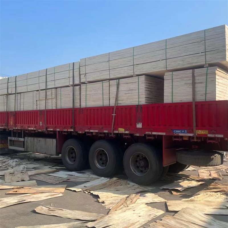 孝昌县探索文山市多元物流服务的奥秘